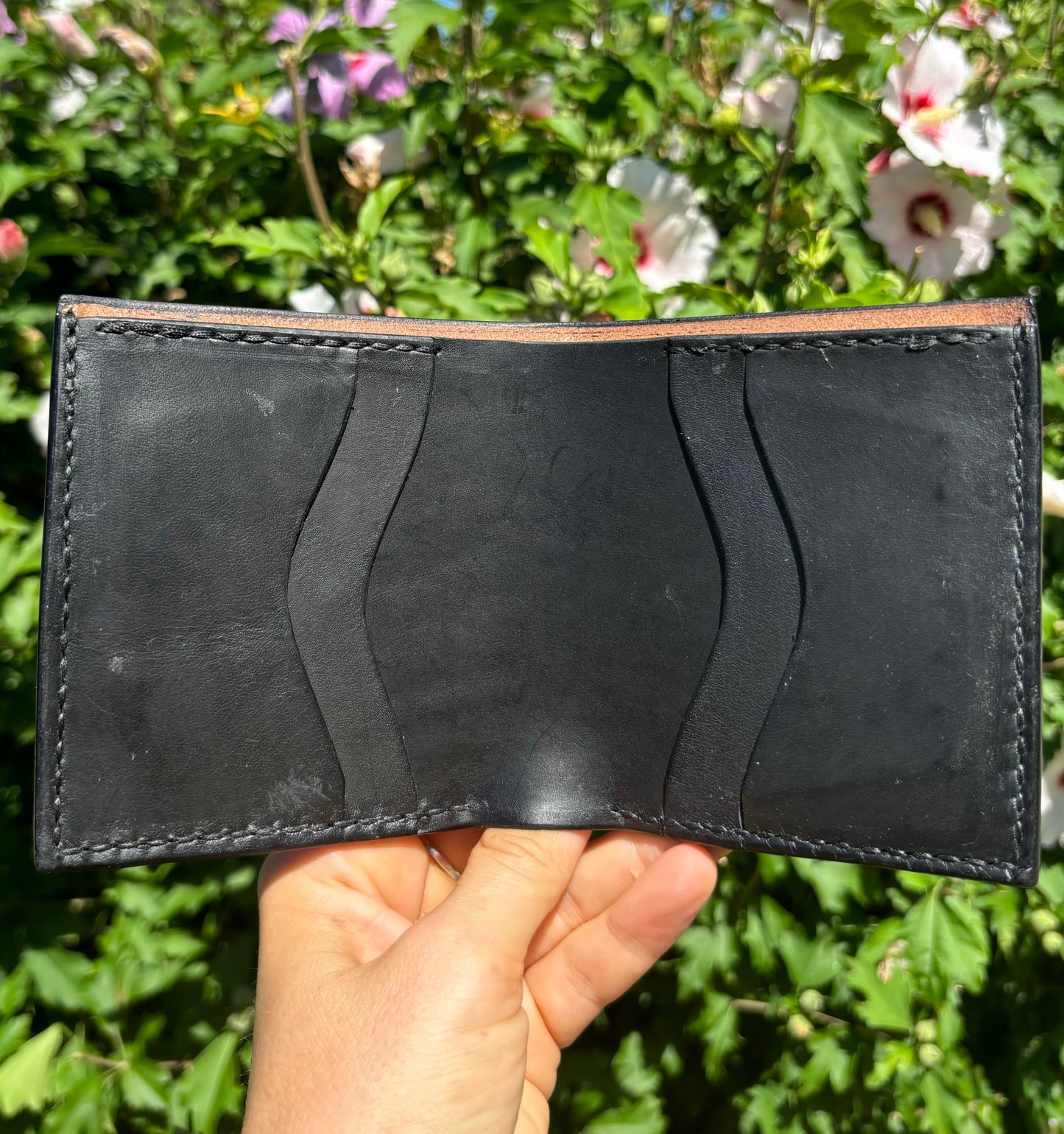 Improbable Desert Horse/Mountain Lion Bifold Wallet